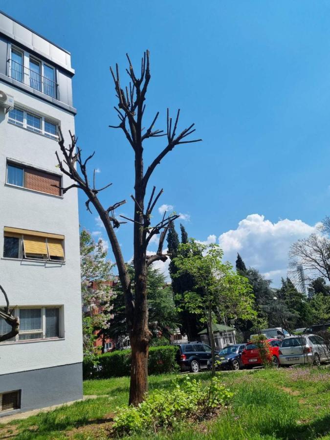 Atelje Lägenhet Podgorica Exteriör bild