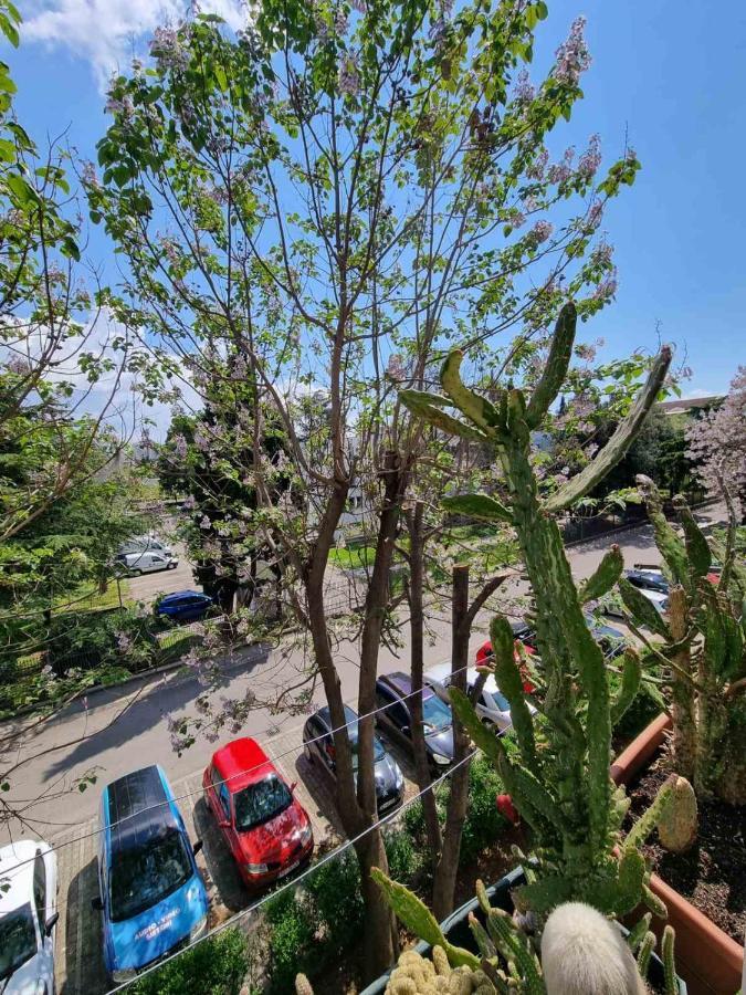 Atelje Lägenhet Podgorica Exteriör bild